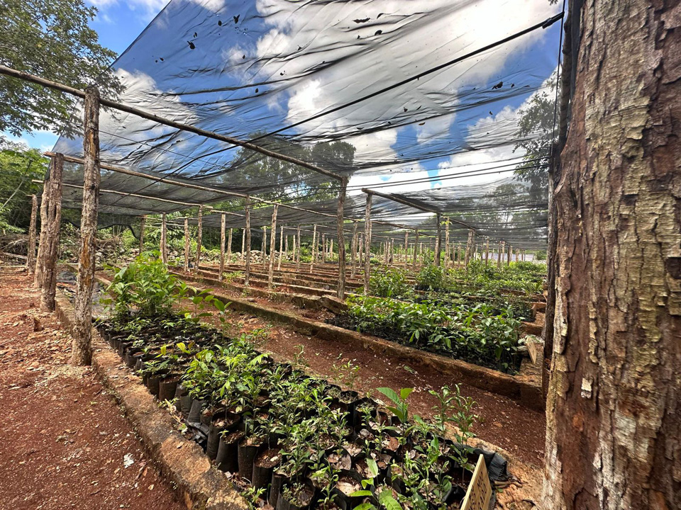 Refrenda Mara compromiso contra el hambre en Quintana Roo