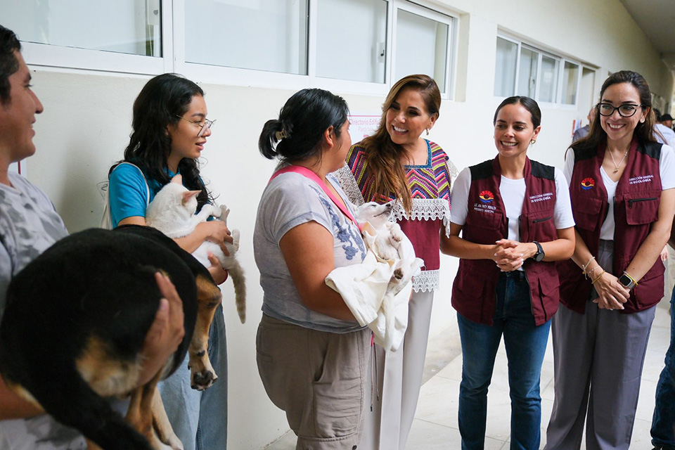 Promueve la Gobernadora campaña de esterilización de perros y gatos en Cancún