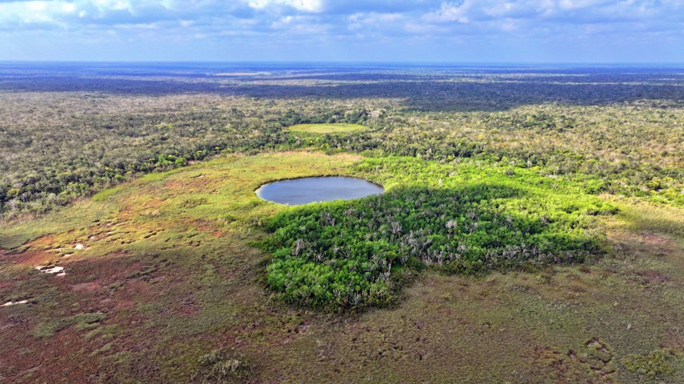 Crean en Quintana Roo el Área Natural Protegida 227 del país