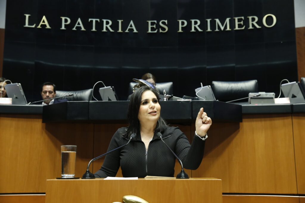 Mayuli Martínez lamenta que por mero formulismo se desestimó acción contra reforma judicial