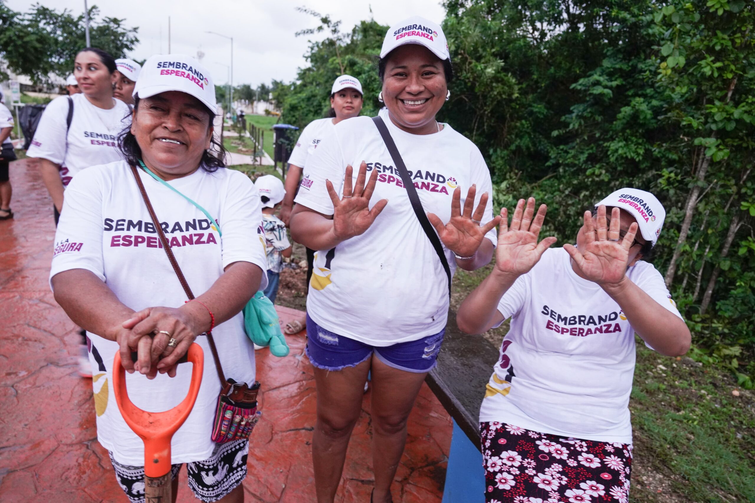 Senador continúa con su compromiso ambiental, plantando 600 árboles en Quintana Roo