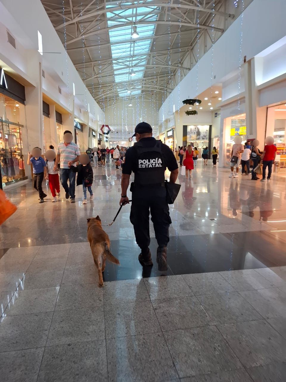 Intensa labor policiaca para reforzar la seguridad en Q.Roo