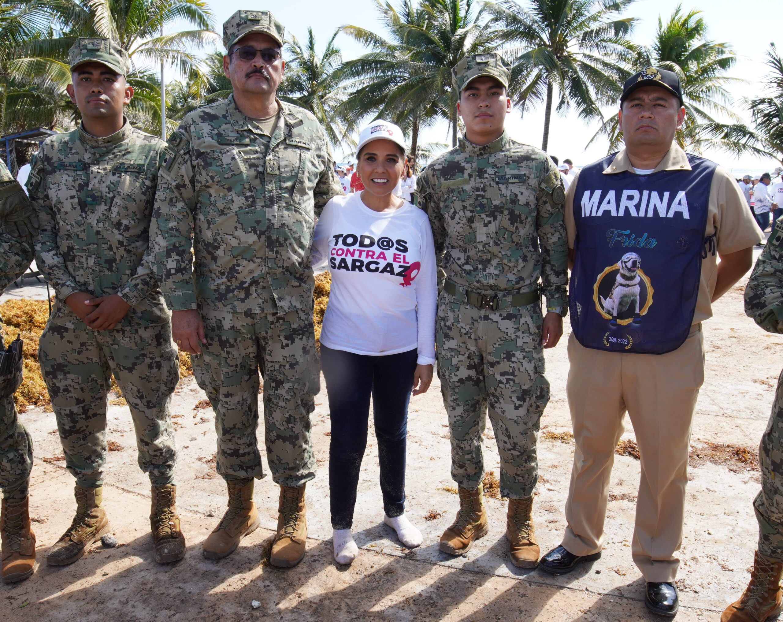 Comienzan los preparativos para contener la arribazón de sargazo